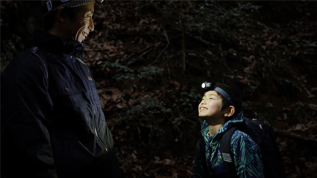 LL502149 - Ledlenser MH3 Black&Yellow Window Box