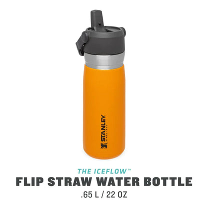 10-09697-010 - Stanley - GO 650ML Flip Straw Water Bottle Saffron